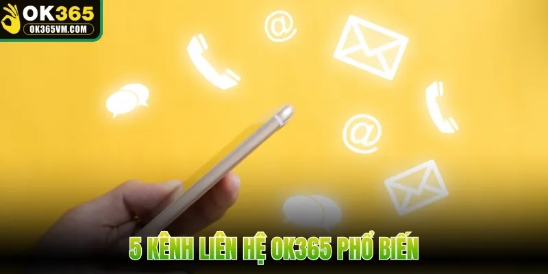 5 kênh liên hệ OK365 phổ biến