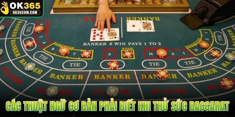 Các thuật ngữ cơ bản phải biết khi thử sức Baccarat