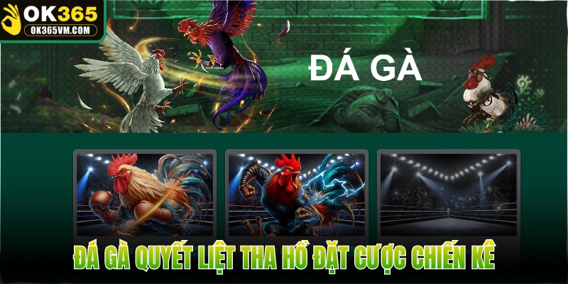 Đá gà quyết liệt tha hồ đặt cược chiến kê