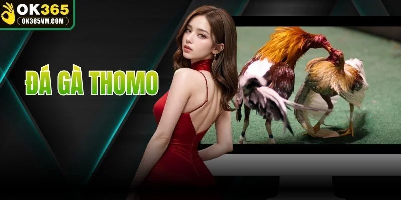 Đá Gà Thomo
