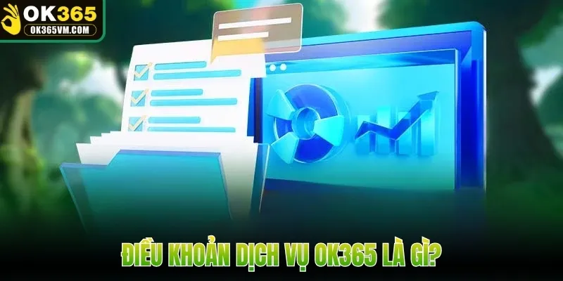 Điều khoản dịch vụ OK365 là gì?