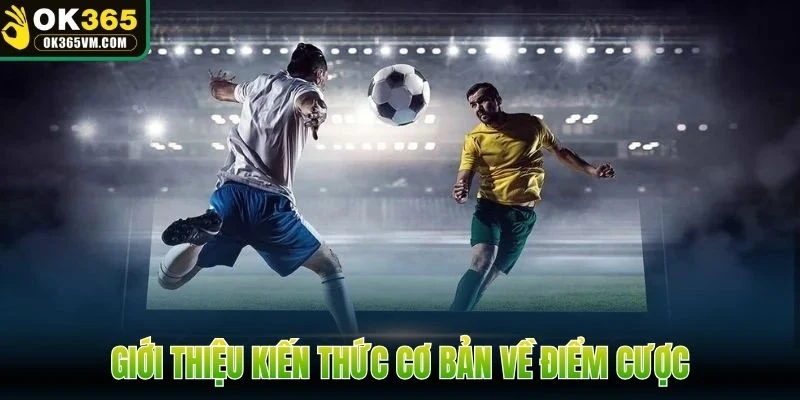 Giới thiệu kiến thức cơ bản về điểm cược