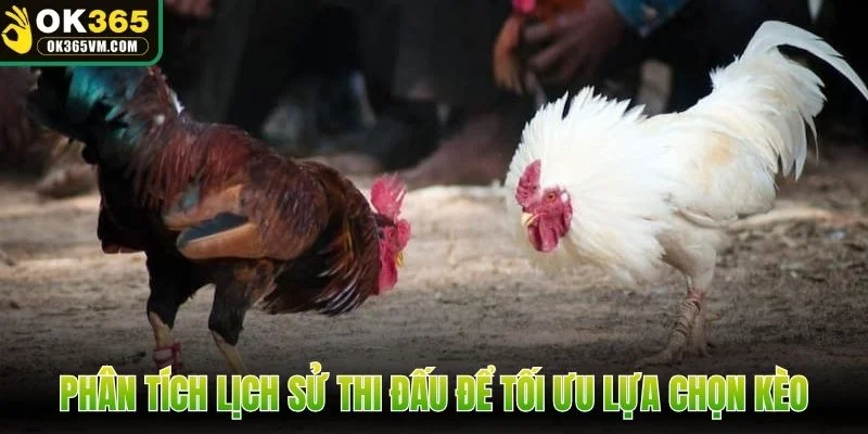 Phân tích lịch sử thi đấu để tối ưu lựa chọn kèo