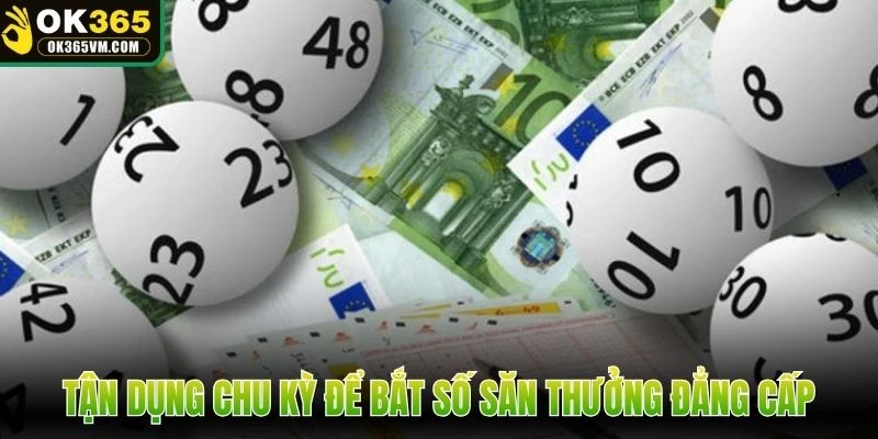 Tận dụng chu kỳ để bắt số săn thưởng đẳng cấp