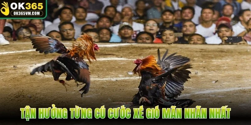 Tận hưởng từng cú cước xé gió mãn nhãn nhất