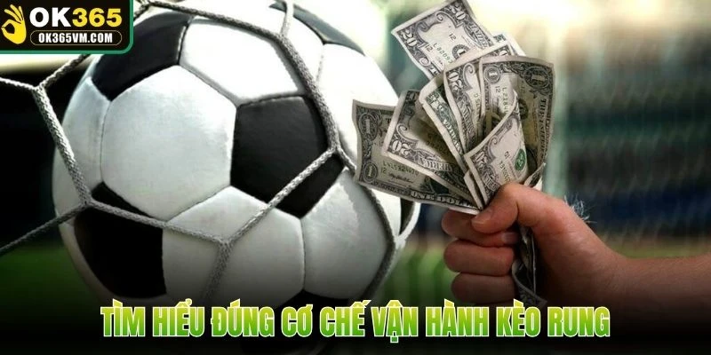 Tìm hiểu đúng cơ chế vận hành kèo rung