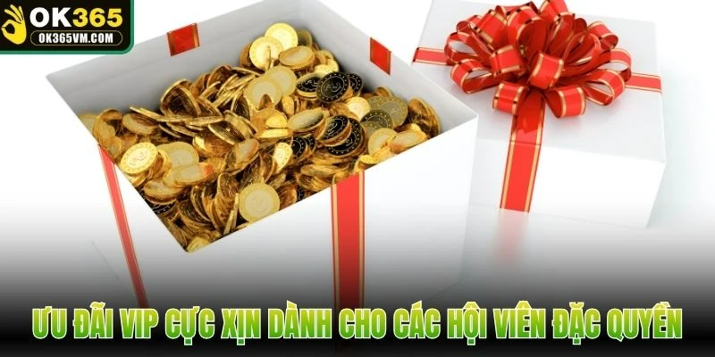 Ưu đãi VIP cực xịn dành cho các hội viên đặc quyền